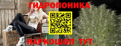соль ск Моздок